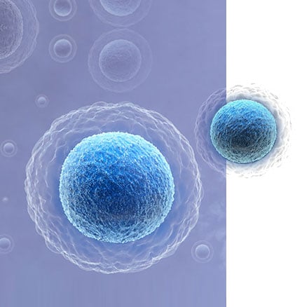Stem Cell Therapy
